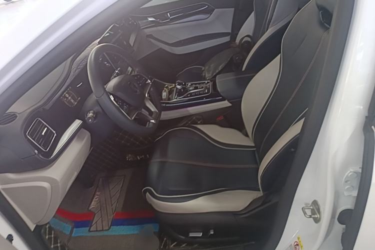 Used BYD Qin PLUS 2021 EV 500KM Premium Model Left Front Seat