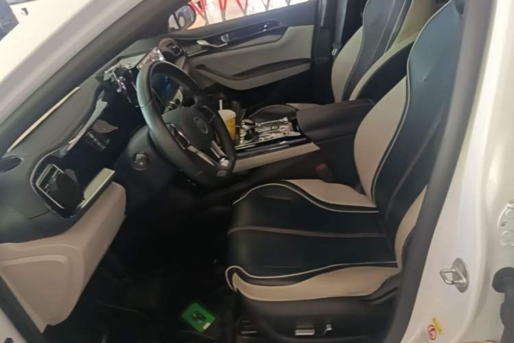 Used BYD Qin PLUS 2021 DM-i 55KM Flagship Model Left Front Seat