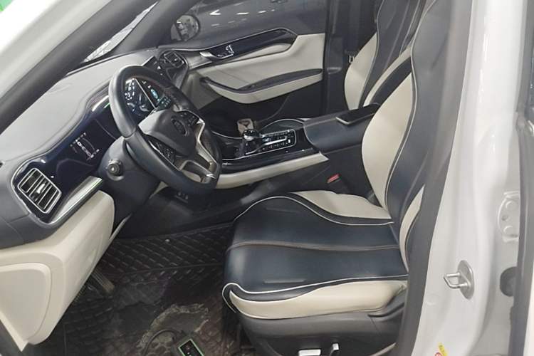Used BYD Qin PLUS 2021 EV 500KM Luxury Model Left Front Seat