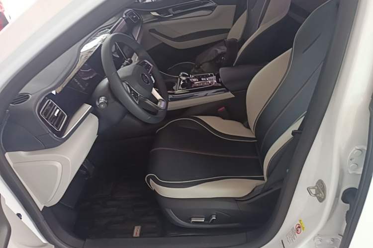 Used BYD Qin PLUS 2021 DM-i 55KM Prestige Model Left Front Seat