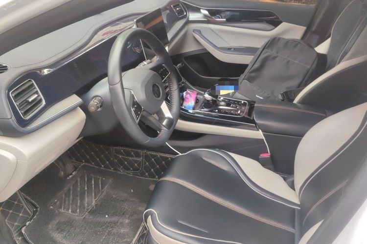 Used BYD Qin PLUS 2021 DM-i 120KM Prestige Model Left Front Seat