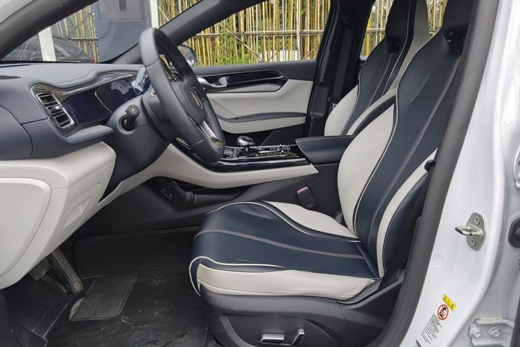 Used BYD Qin PLUS 2021 DM-i 55KM Flagship Model Left Front Seat