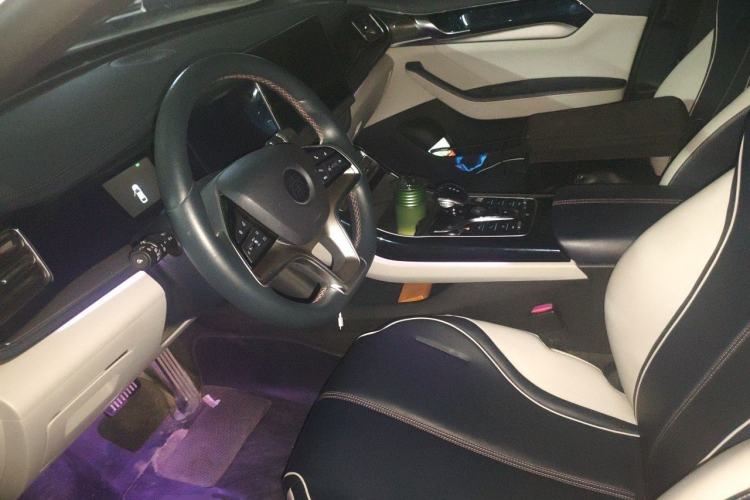 Used BYD Qin PLUS 2021 EV 500KM Premium Model Left Front Seat