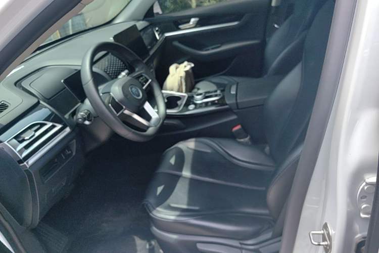 Used BYD Qin PLUS 2021 EV 400KM Leading Comfort Edition Left Front Seat