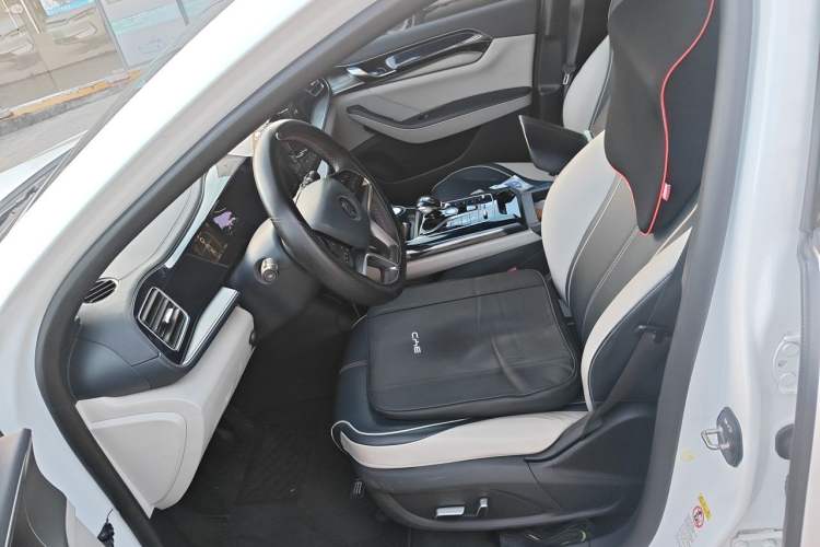 Used BYD Qin PLUS 2021 EV 500KM Luxury Model Left Front Seat