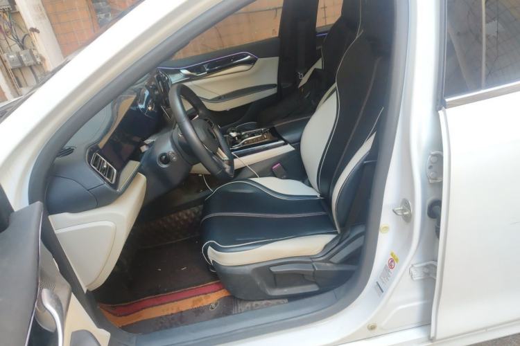 Used BYD Qin PLUS 2021 DM-i 120KM Prestige Model Left Front Seat