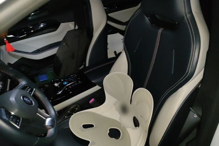 Used BYD Qin PLUS 2021 DM-i 55KM Prestige Model Left Front Seat