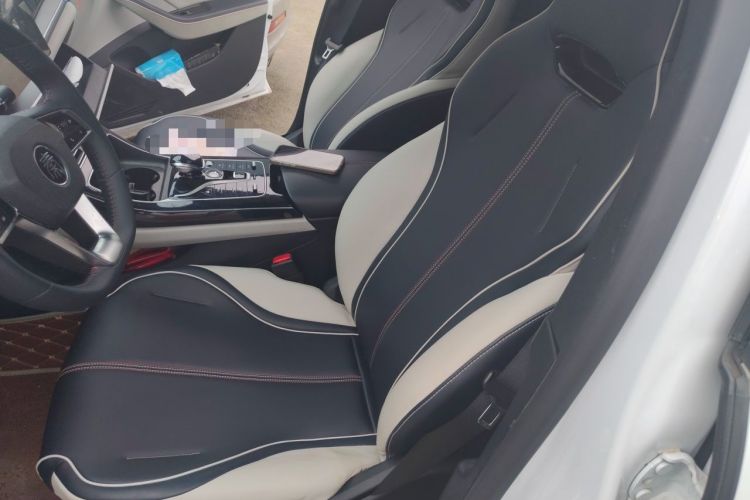 Used BYD Qin PLUS 2021 DM-i 55KM Flagship Model Left Front Seat