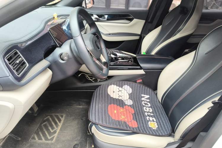 Used BYD Qin PLUS 2021 DM-i 55KM Flagship Model Left Front Seat
