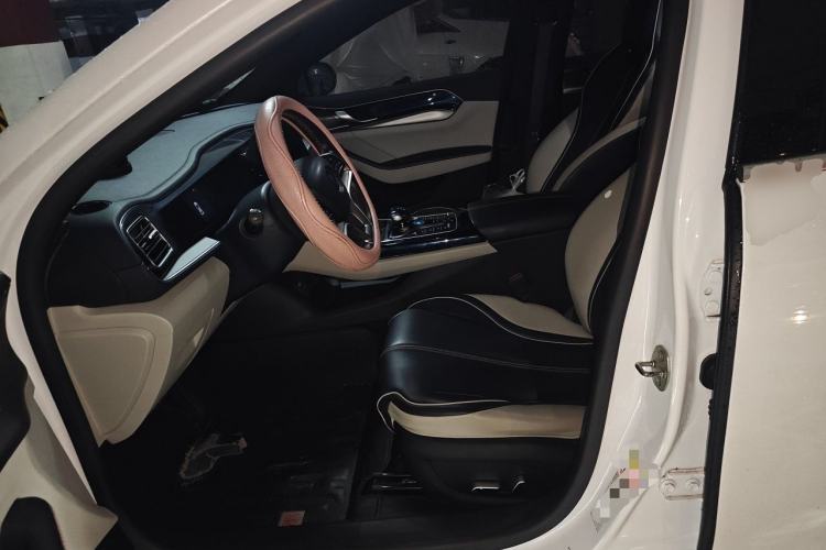 Used BYD Qin PLUS 2021 EV 500KM Luxury Model Left Front Seat