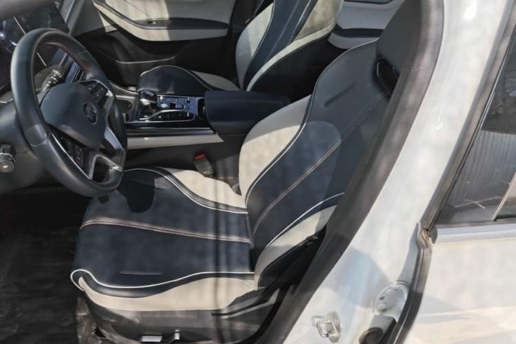 Used BYD Qin PLUS 2021 EV 400KM Luxury Model Left Front Seat