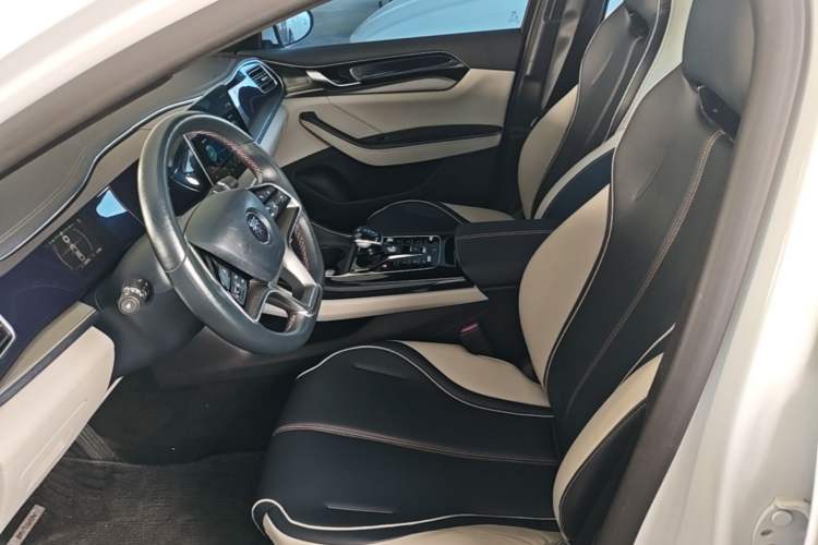 Used BYD Qin PLUS 2021 EV 500KM Luxury Model Left Front Seat