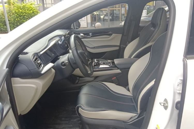Used BYD Qin PLUS 2021 EV 400KM Luxury Model Left Front Seat
