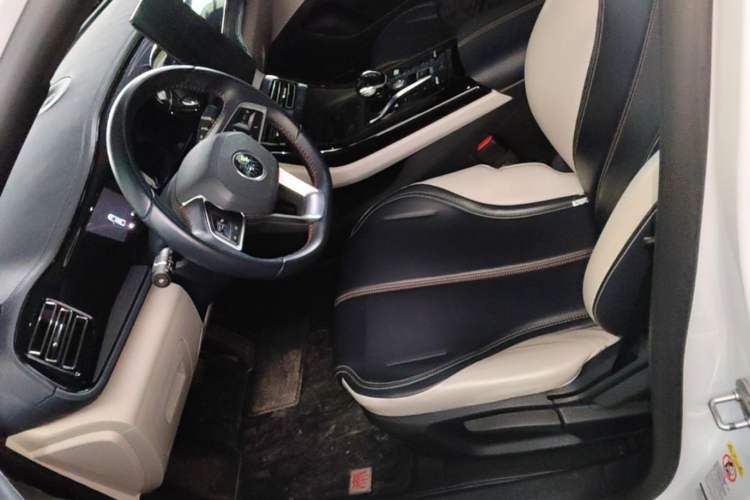 Used BYD Qin PLUS 2021 DM-i 55KM Prestige Model Left Front Seat