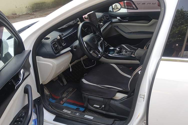 Used BYD Qin PLUS 2021 EV 500KM Premium Model Left Front Seat