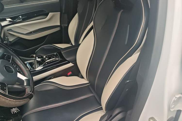 Used BYD Qin PLUS 2021 DM-i 120KM Prestige Model Left Front Seat
