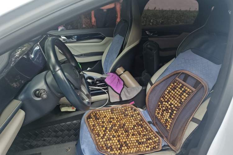 Used BYD Qin PLUS 2021 EV 510KM Commuter Edition Left Front Seat