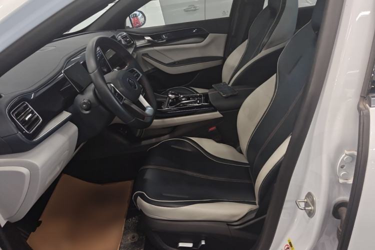 Used BYD Qin PLUS 2021 DM-i 55KM Flagship Model Left Front Seat