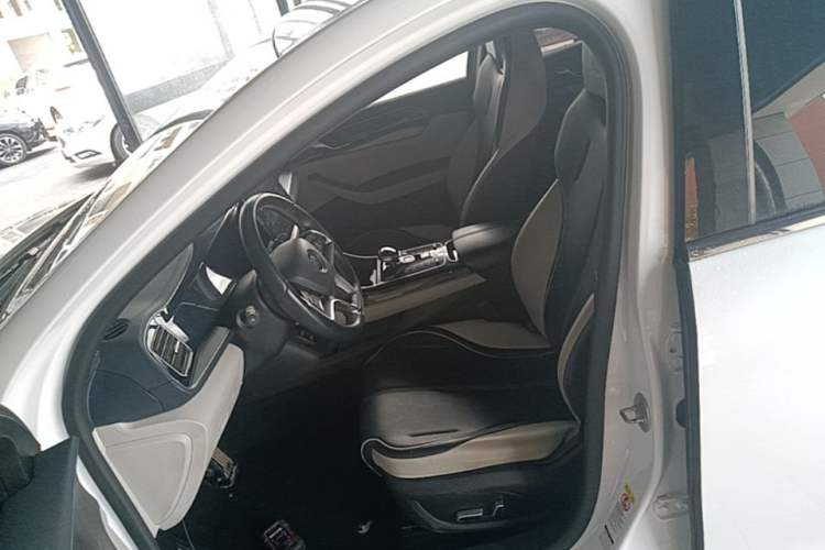 Used BYD Qin PLUS 2021 EV 600KM Flagship Model Left Front Seat