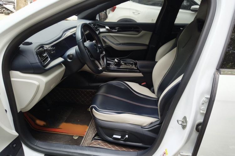 Used BYD Qin PLUS 2021 EV 400KM Luxury Model Left Front Seat