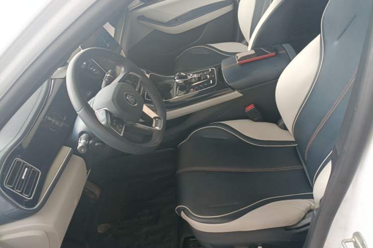Used BYD Qin PLUS 2021 DM-i 55KM Flagship Model Left Front Seat