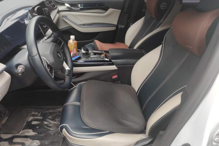 Used BYD Qin PLUS 2021 DM-i 120KM Prestige Model Left Front Seat