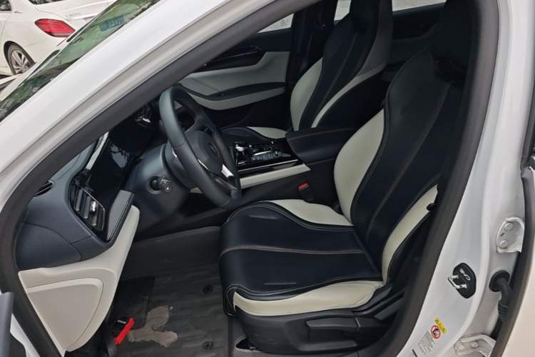 Used BYD Qin PLUS 2021 DM-i 55KM Prestige Model Left Front Seat