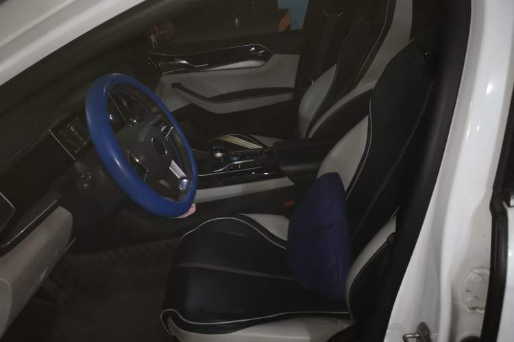 Used BYD Qin PLUS 2021 DM-i 55KM Flagship Model Left Front Seat