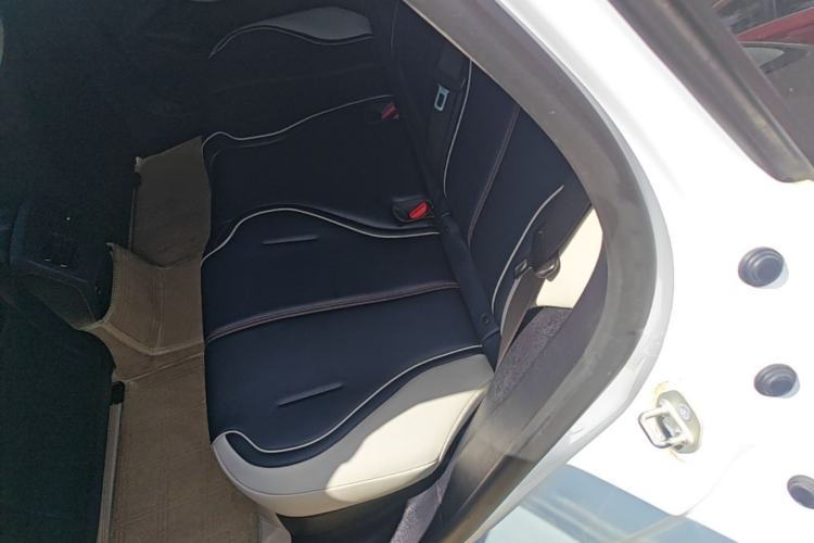 Used BYD Qin PLUS 2021 DM-i 55KM Flagship Model Left Rear Seat