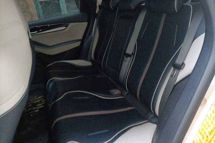 Used BYD Qin PLUS 2021 DM-i 55KM Prestige Model Left Rear Seat