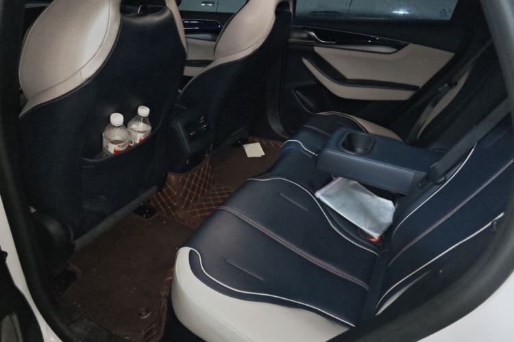 Used BYD Qin PLUS 2021 DM-i 55KM Flagship Model Left Rear Seat