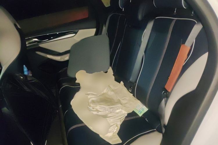 Used BYD Qin PLUS 2021 DM-i 120KM Flagship Model Left Rear Seat