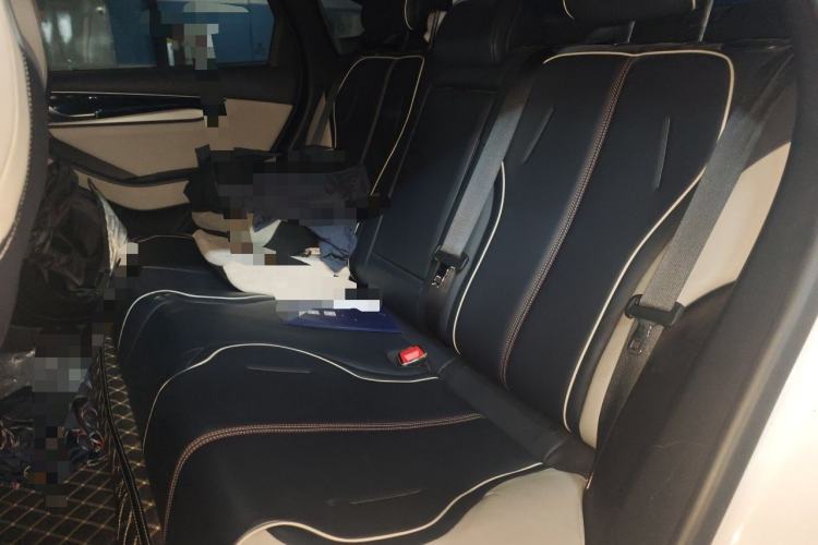 Used BYD Qin PLUS 2021 EV 500KM Luxury Model Left Rear Seat