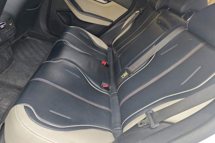 Used BYD Qin PLUS 2021 EV 500KM Luxury Model Left Rear Seat