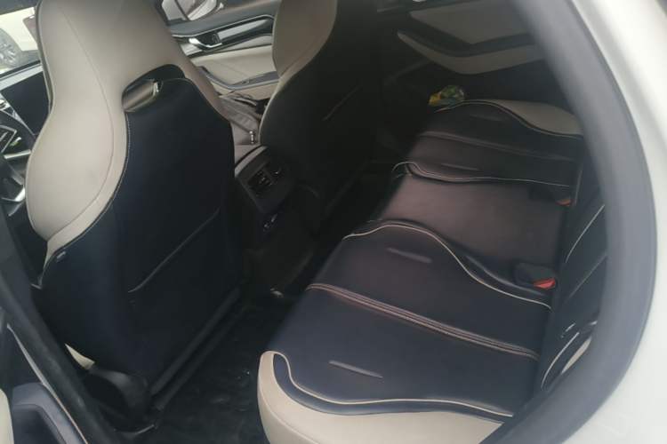 Used BYD Qin PLUS 2021 DM-i 55KM Flagship Model Left Rear Seat