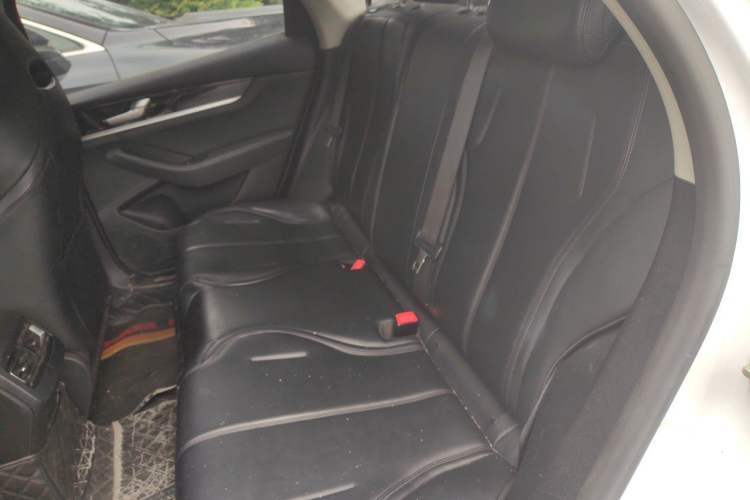 Used BYD Qin PLUS 2021 EV 400KM Leading Comfort Edition Left Rear Seat