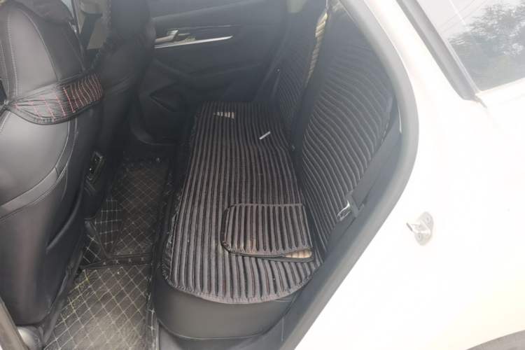 Used BYD Qin PLUS 2021 EV 400KM Leading Comfort Edition Left Rear Seat