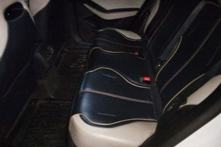 Used BYD Qin PLUS 2021 EV 500KM Luxury Model Left Rear Seat
