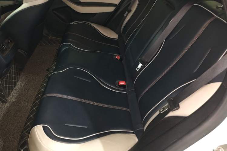 Used BYD Qin PLUS 2021 EV 500KM Luxury Model Left Rear Seat