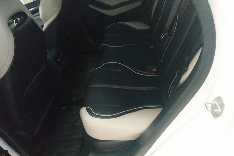Used BYD Qin PLUS 2021 DM-i 55KM Flagship Model Left Rear Seat