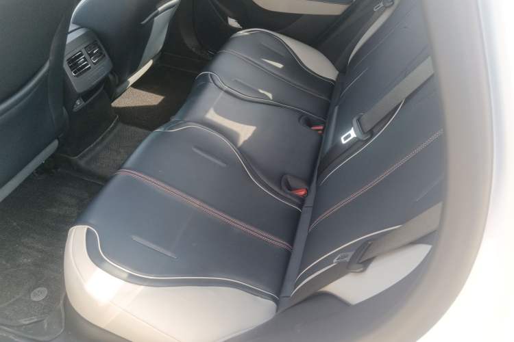 Used BYD Qin PLUS 2021 DM-i 55KM Flagship Model Left Rear Seat