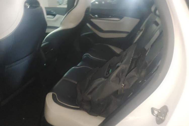 Used BYD Qin PLUS 2021 DM-i 120KM Prestige Model Left Rear Seat