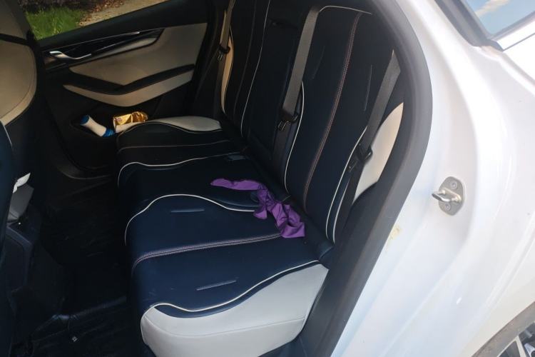Used BYD Qin PLUS 2021 DM-i 120KM Prestige Model Left Rear Seat