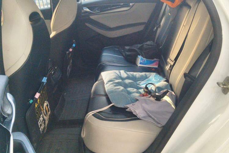 Used BYD Qin PLUS 2021 EV 500KM Luxury Model Left Rear Seat