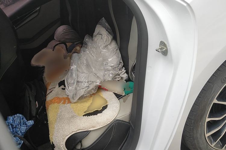 Used BYD Qin PLUS 2021 EV 600KM Flagship Model Left Rear Seat