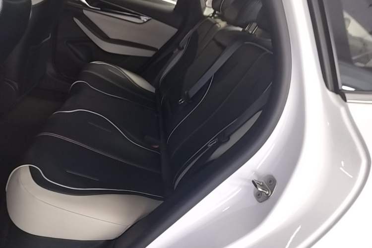 Used BYD Qin PLUS 2021 DM-i 120KM Prestige Model Left Rear Seat