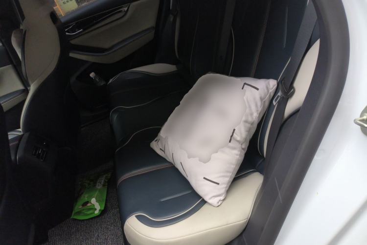 Used BYD Qin PLUS 2021 DM-i 120KM Prestige Model Left Rear Seat