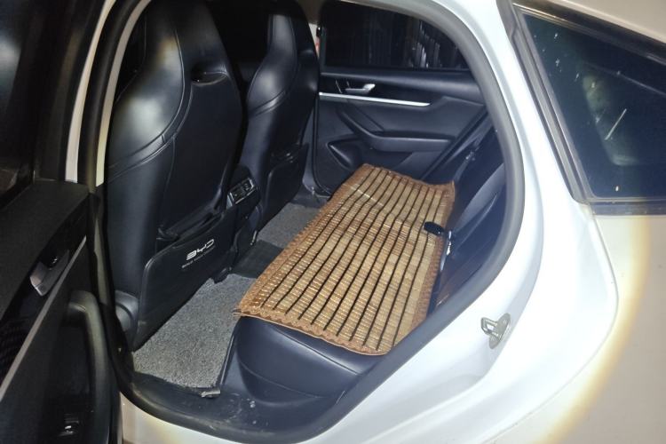 Used BYD Qin PLUS 2021 EV 400KM Leading Comfort Edition Left Rear Seat