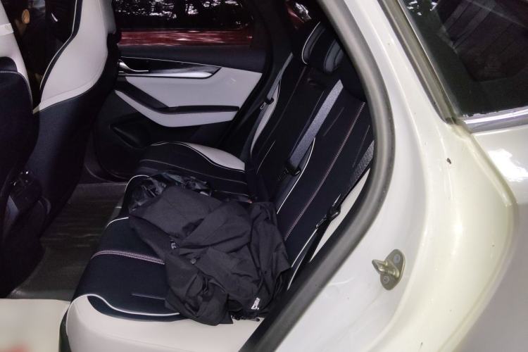 Used BYD Qin PLUS 2021 DM-i 55KM Flagship Model Left Rear Seat