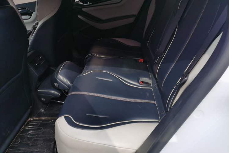 Used BYD Qin PLUS 2021 EV 500KM Premium Model Left Rear Seat